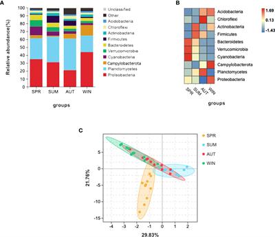 Seasonal variations in microbial diversity and metabolite profiles of the gut of sea cucumber (Apostichopus japonicus)